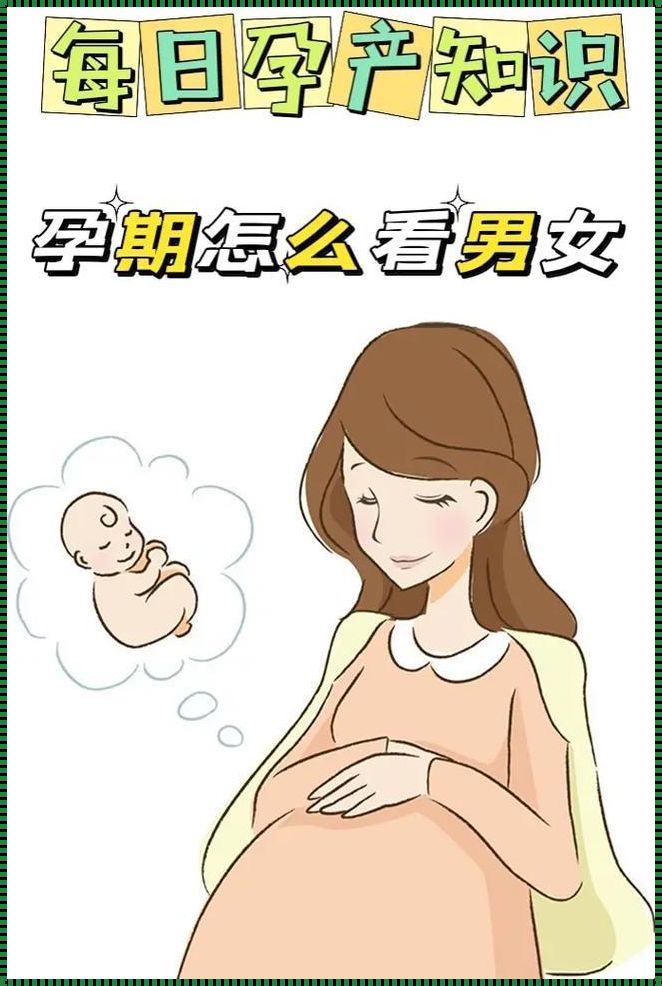 怀孕嘴巴发苦验证男女：一种传统观念的分析