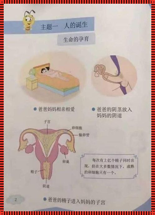 男生能发现女生是不是初次吗：一次探索与发现的旅程