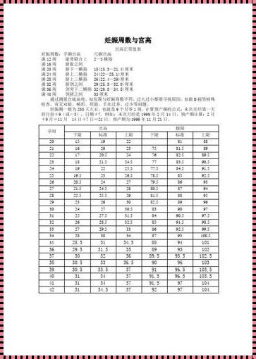 腹围196mm是多少周